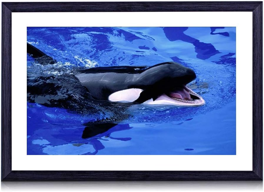 Amazon Co Jp 30cmx40cm 木製の黒色のフォトフレーム 赤ちゃんクジラクジラ水カサトカ海 壁掛け 壁飾り 壁ポスター おしゃれ ウォールアート アートパネル 壁の絵 インテリア絵画 額縁 部屋飾り 装飾画 ホーム キッチン Amazon Co Jp 30cmx40cm 木製の黒色のフォトフレーム 赤ちゃんクジラクジラ水カサトカ海 壁掛け 壁飾り 壁ポスター おしゃれ ウォールアート アートパネル 壁の絵 インテリア絵画 額縁 部屋飾り 装飾画 ホーム キッチン