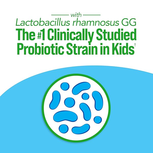 CULTURELLE KIDS PROBIOTIC + COMPLETE MULTIVITAMIN CHEWABLE FOR KIDS, AGES 3+, 30 COUNT, DIGESTIVE HEALTH, ORAL HEALTH & IMMUNE SUPPORT – WITH 11 VITAMINS & MINERALS, INCLUDING VITAMIN C, D3 & ZINC