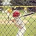 Yaheetech 10 x 20Ft Waterproof Baseball Backstop Net, Multi-use Net for Bird Against, Basketball Guard Net, Garden Net, etc 1.8