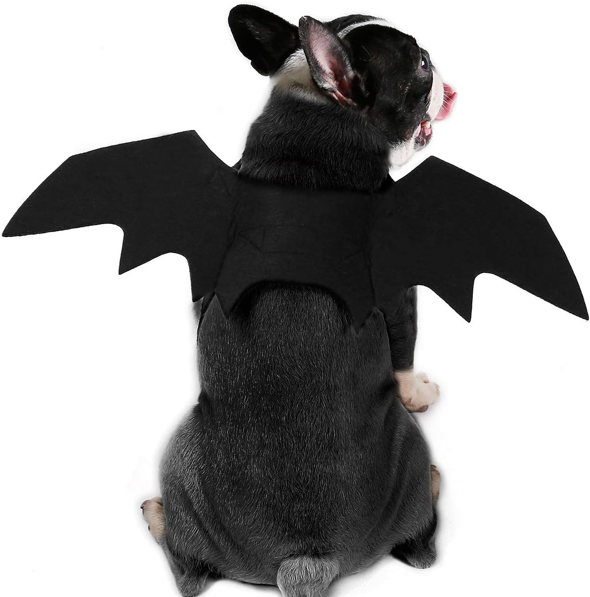 BbearT® Pet Halloween Clothes,Felt Cloth Bat Wings Dress Up Dog Halloween Costume Apparel for Cats Small Dogs Medium Dogs Large Dogs (Small)