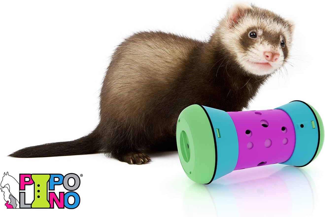 Pipolino Feeding Toy, Small, Multicolored - Image 3