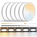 NIORSUN 12 inch Flush Mount LED Ceiling Light