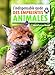 L'indispensable guide des empreintes animales (L'indispensable guide nature) (French Edition) by 
