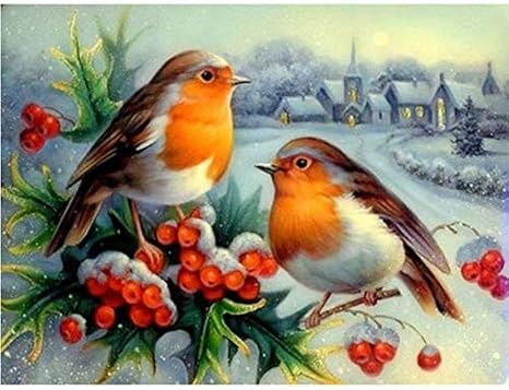 ABUKJM DIY Malen nach Zahlen Geschenk für Erwachsene DIY Malen nach Zahlen  2 Vögel im Winter Malen Zeichnen nach Zahlen Einfach für Erwachsene Junior  Geschenk 40x50cm gerahmt: Amazon.de: Küche & Haushalt