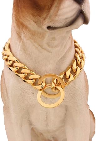 dog collar jewelry