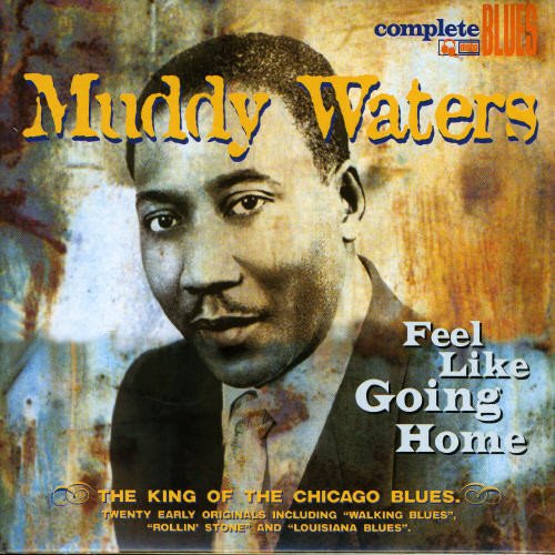 Muddy Waters - Feel Like Going Home - Zortam Music