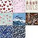 COMIX 2 Pack Letter Size, Heavy Duty Premium Designer 3 Round Ring Binder 1 Inch, BACK TO SCHOOL/CAMPUS (A2134) (Cupcake Dream)