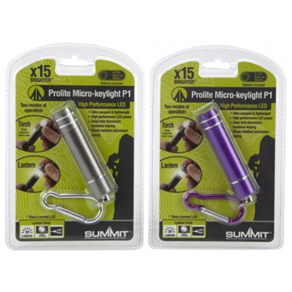 Bright Aluminium Lightweight Mini Torch with Caribiner Climbing Camping Festival