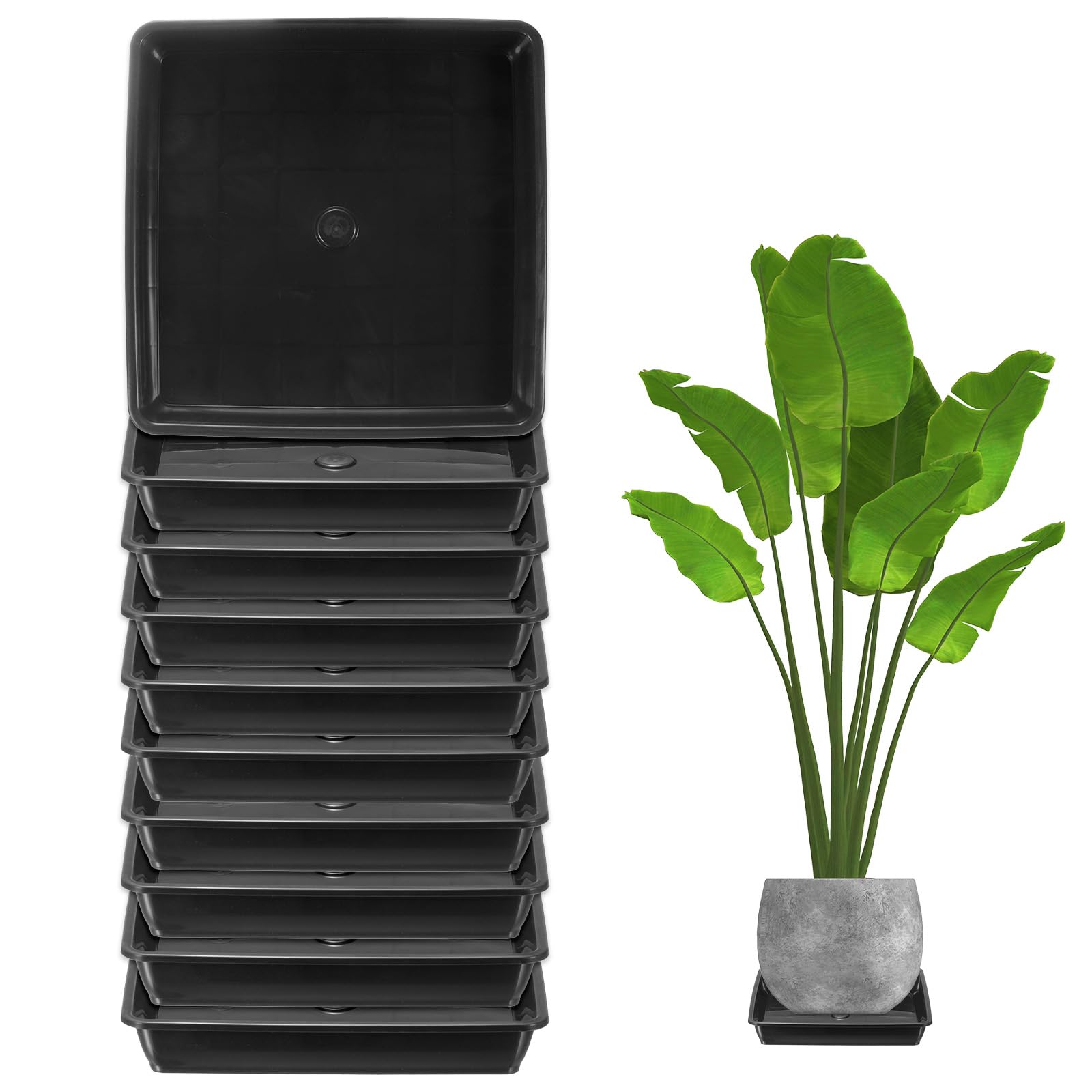 M METERXITY 10-Pack Plant Pot Saucers, 6 Inch 15cm Plastic Square Flower Drip Tray, Pot No Holes Durable Plant Trays for Pots Base Indoors/Outdoors Plants [Black]
