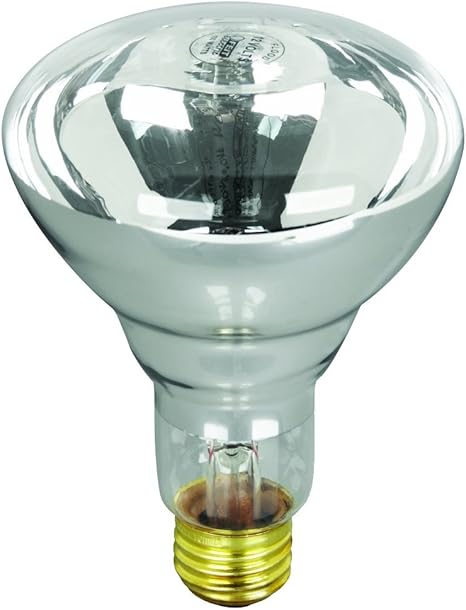 feit electric 100r20 s 12 reflector de inundacion para piscina y jacuzzi 100 w r20 12 v