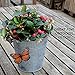 4 pc RAM-PRO Beautiful Large Colorful & Realistic 3-D Design Assorted Butterflies For Refregirator Cabinets Windows Girls Room Garden Locker Decoration…