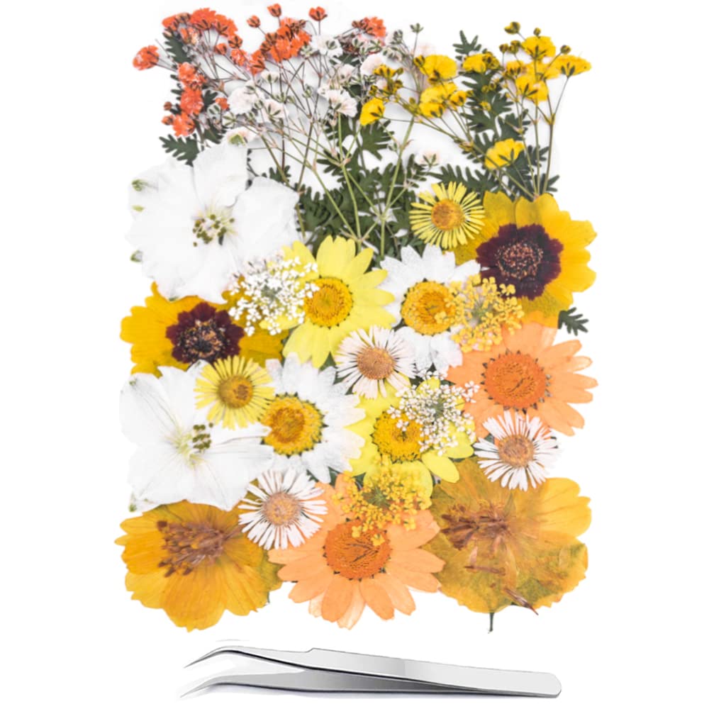 YoothBro Dried Pressed Flowers for Resin Molds,Real Natural Pressed Flowers for DIY Art Crafts,Candle Making, Nails Décor,Soap Making, Phone Case Yellow White