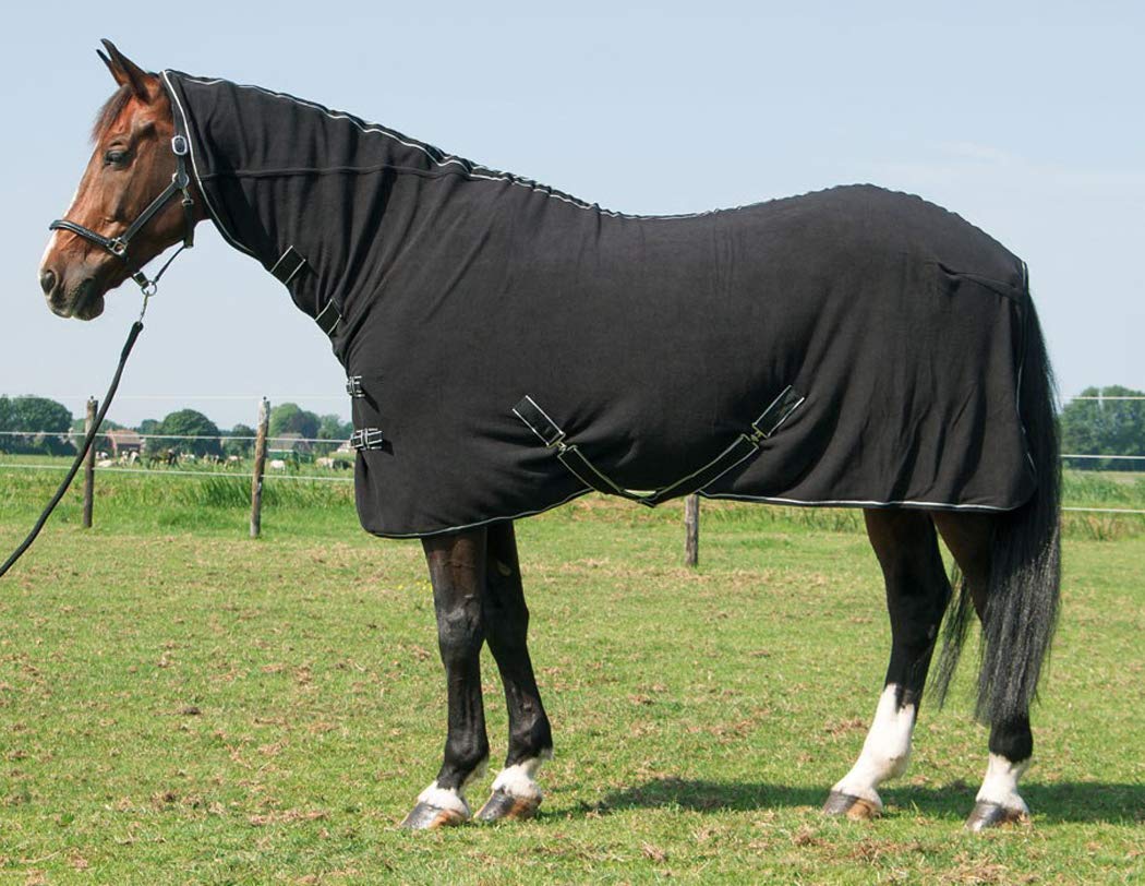 Reitsport Amesbichler Harry's Horse Fleece Blanket Deluxe with Neck Piece Black 165 cm Horse Fleece Blanket with Neck Piece Horse Cooler Blanket with Neck Piece