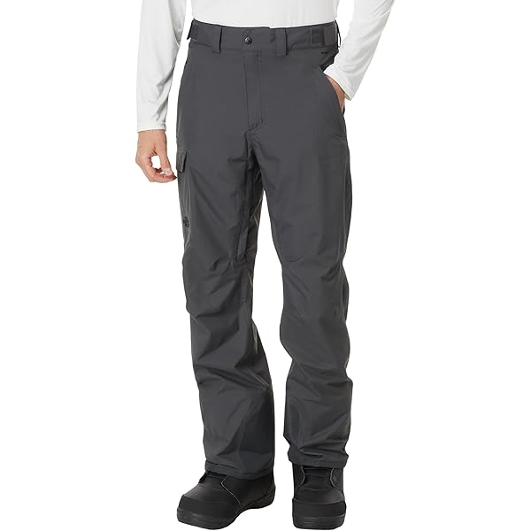 スキー The North Face Men's Freedom Pant Men's Freedom Pants | The North Face