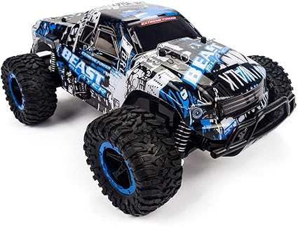 professional rc cars