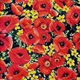 1/2 Yard - Wizard of Oz Poppy Field 100% Cotton Fabric (Great for Quilting, Sewing, Craft Projects, Throw Pillows & More) 1/2 Yard X 44