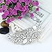 EVER FAITH Women's Austrian Crystal 5 Inch Bridal Flower Bouquet Hair Side Comb Clear Silver-Tone