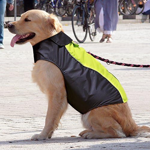Illumifun Waterproof Dog Coat, Reflective Pet Jacket with Soft Fleece Lining, Cold Weather Dog Apparel Clothing for Small Medium Large Dogs
