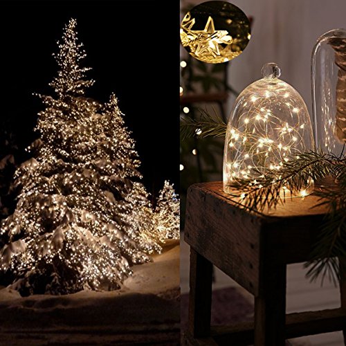 TOFU Decorative String Lights, 5 ft 40 LED Battery Operated Copper Lights Jar for Wedding, Home, Birthday, Indoor, Outdoor, Bedroom, Dorm, Party, Christmas Tree Decoration (Snowflakes White)