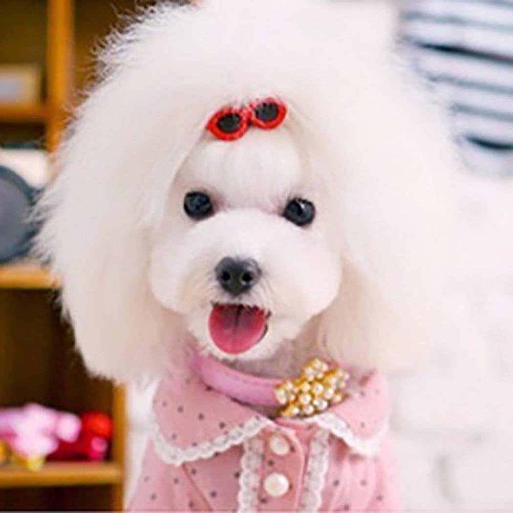 Jeeke 10Pcs Pet Dog Hair Clips Cute Doggie Circular Sunglasses Hair Clips Dog Accessories Fashion and Lovely