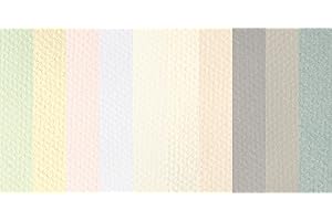 Canson Mi-Teintes Drawing Sheets, 19 x 25 Inches, Assorted Pastel Colors, 10 Sheets