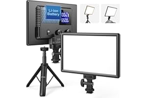 RALENO 9" LED Video Light, 600Lux/0.5m Camera Light with Mini-Stand and 4000mAh Battery, Type-C USB Power Supply, CRI>95 3200