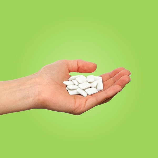 PUR GUM | ASPARTAME FREE CHEWING GUM | 100% XYLITOL | NATURAL COOLMINT FLAVORED GUM, 55 PIECES (PACK OF 1)