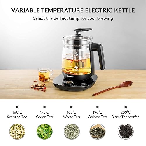 Electric Kettle Temperature Control Glass Tea Kettle Programmable