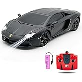 QUN FENG Official Licensed Lamo LP-700 1:18 Scale Remote Control Car for Kids 8-12 Years, RC Car with Rechargeable Battery 3.7V 500mAh, 2.4GHz Matte Black