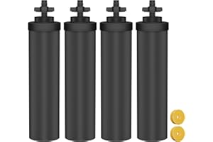 DESENRUIS Water Filter Replacement for Berkey BB9-2 Black Filters, Compatible with Berkey Gravity Water Filter System,Reduce Lead and Chlorine,Remove Taste,Odor,Pack of 4