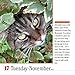 365 Cats 2015 Calendar