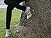 High Heels Protectors for Grass for Weddings and Outdoor Events - Bulk 15 Pair (5S, 5M, 5L)