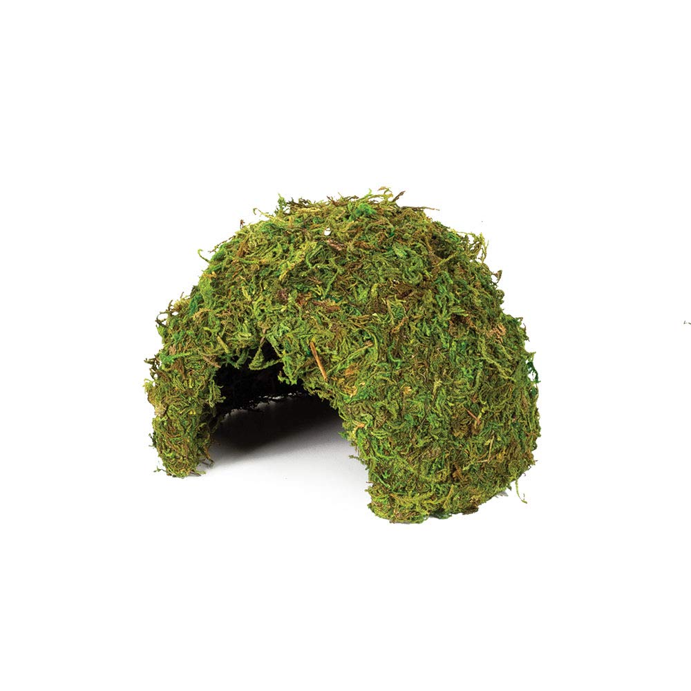 Komodo Natural Moss Cave Nesting Habitat Safe Durable Natural Looking Easy Clean Sheltered Hide Spot for Reptiles - Medium