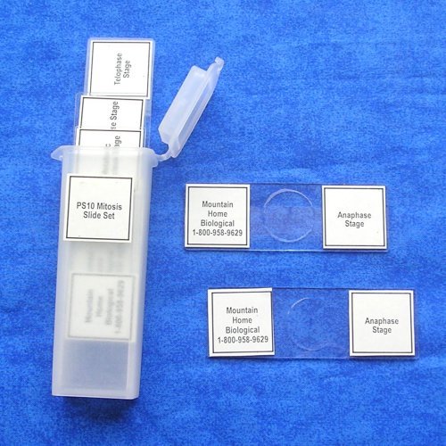 Mitosis-Slide-Set
