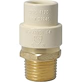 XFITTING Male to CPVC Adapter, 1/2" NPT x 1/2" CPVC, Brass, 1 Pack