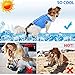 LotFancy Dog Cooling Vest Jacket Coats Swamp Cooler for Puppies Cats Kittens Pets (Blue, Small 7.8”-9”)
