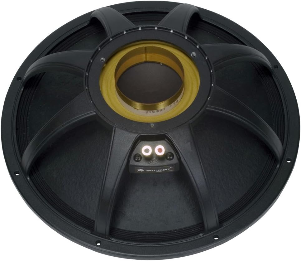 speaker bw 18