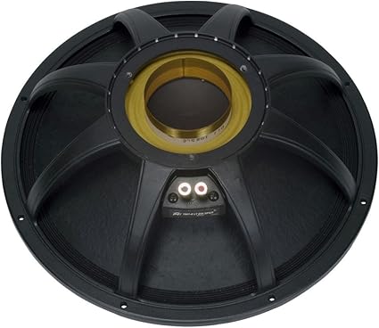 speaker bw 18 in