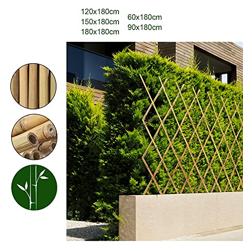 Floordirekt Bambus Rankgitter für Garten, Balkon & Terrasse | Individuell ausziehbar | Witterungsbeständig & langlebig… – Bild 4