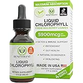 Benevolent Nourishment Chlorophyll Supplement, Detox & Immune Support, Internal Deodorizer - Liquid Drops, Natural Mint Flavor, 4 Month Supply, 59ml