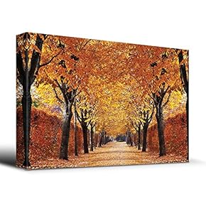 Orange and Yellow Canopy of Trees line Path