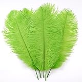 LONDGEN 5pcs Ostrich Feathers