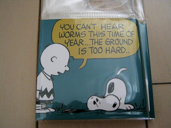Amazon Co Jp スヌーピー ブック型付箋メモ Snoopy ふせん ホビー