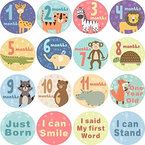 Baby Monthly Stickers First Year Baby Great Shower Gift 16 Pack of Milestone Belly stickers for Boys Girls