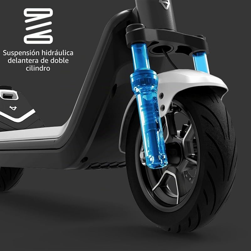 KQi 300P (DE) Patinete eléctrico Legal en Carretera, Negro/Antracita