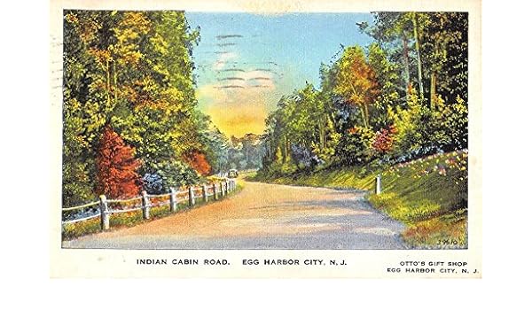 Egg Harbor City New Jersey Indian Cabin Road Antique Postcard