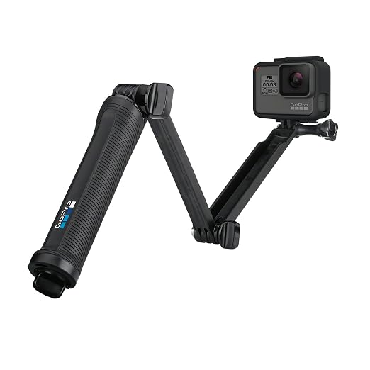 GoPro HERO Stick