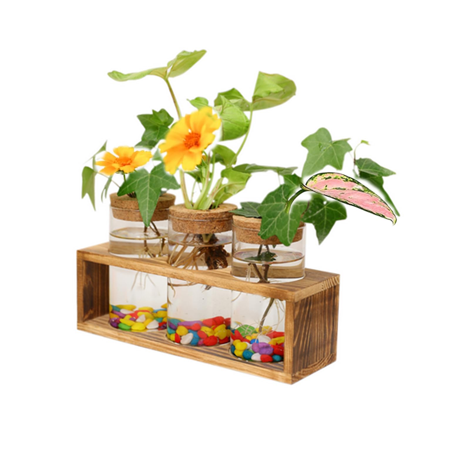 Glass Planter Station Desktop Hurricane Vases, Innjoii Plant Propagation Terrarium with Lid and Wooden Stand 3 Cylinder Vase for Propagating Hydroponic Plants Centerpiece Office Home WeddingDecor