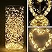 Prefer Green 2 Pack Battery Operated Fairy String Lights 33ft 100 LED 8 Modes Decorative Lights with Remote Control for Outdoor Indoor Bedroom Garden Wedding Christmas Decor (Warm White)