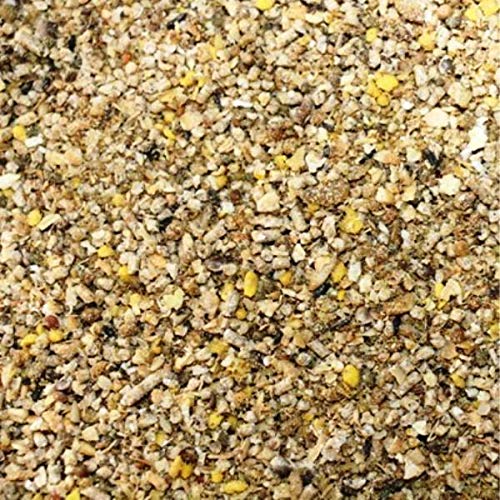 FutterXL 1kg Premium Aufzuchtfutter für Wachteln, Fasane und Küken - Top Geflügelfutter vom Profi